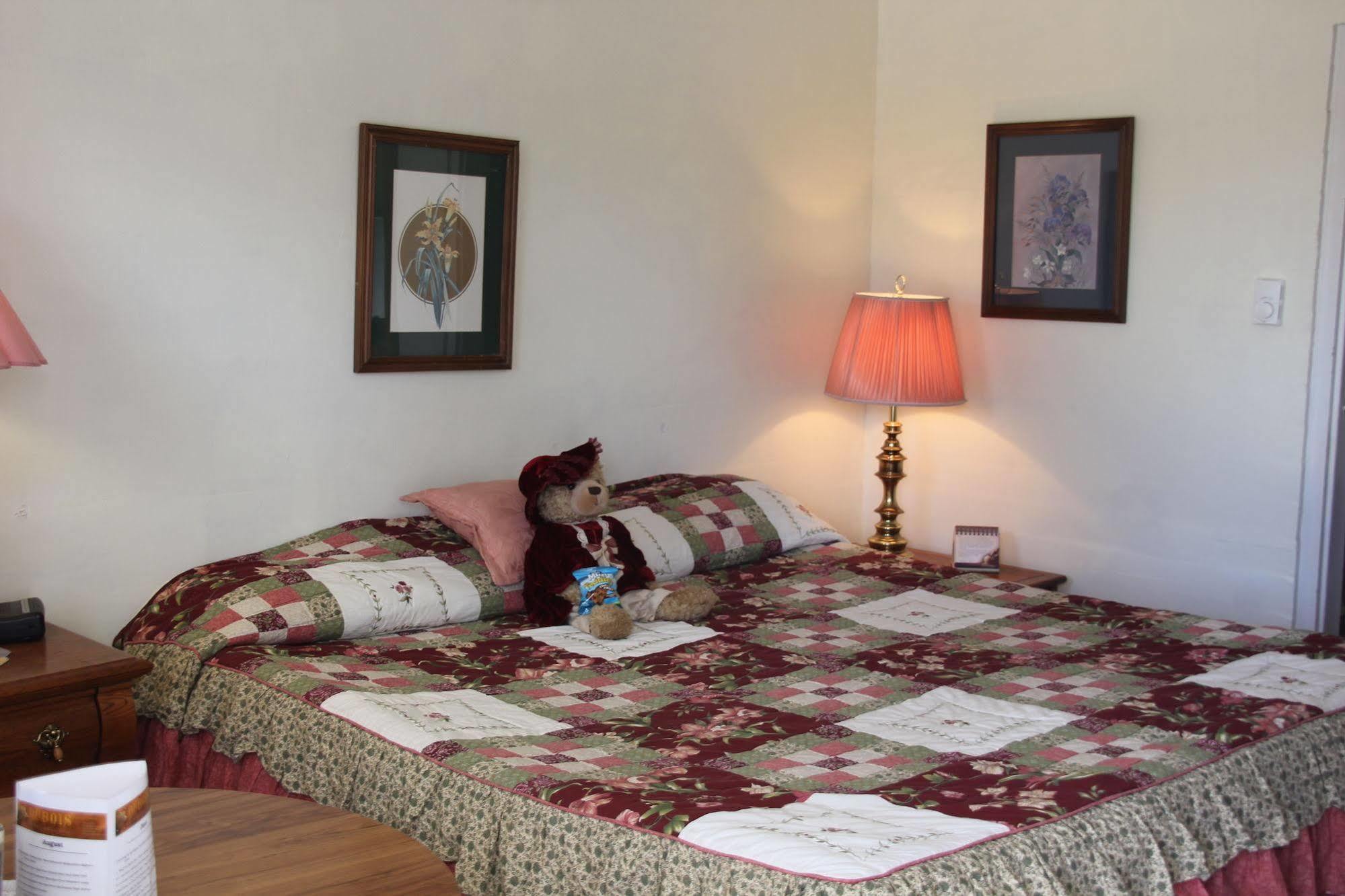 Black Bear Inn Dubois Dış mekan fotoğraf